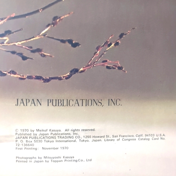 Imaginative Ikebana by Meikof Kasuya - Signed - 1970 Japanese Flower Arranging - Picture 5 of 6